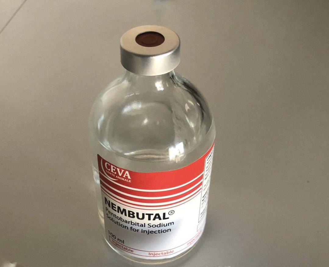 nembutal