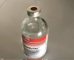 Solution injectable nembutal