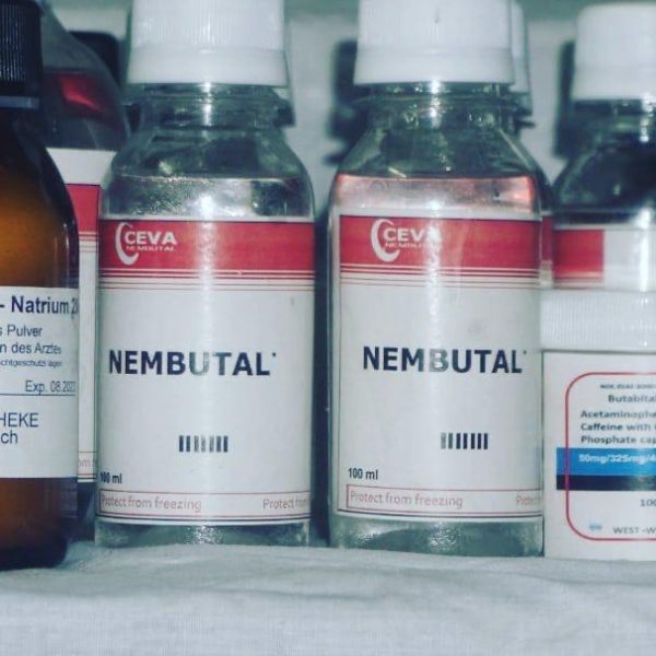 Solution injectable nembutal – Image 6